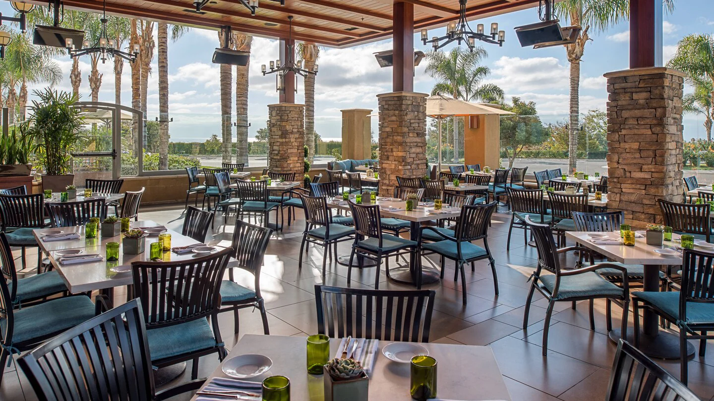 Platinum Smart-Heat Gas Heater - Image 3