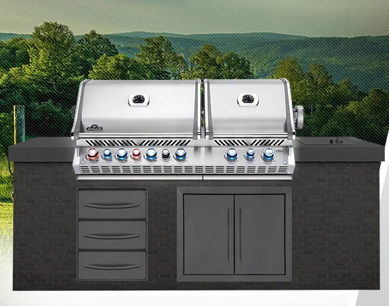 Prestige PRO 825 RBI - Image 16