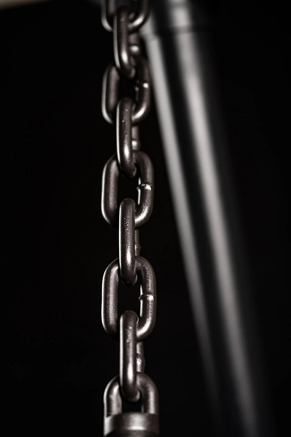 The Ranch Boss 42" - Image 8